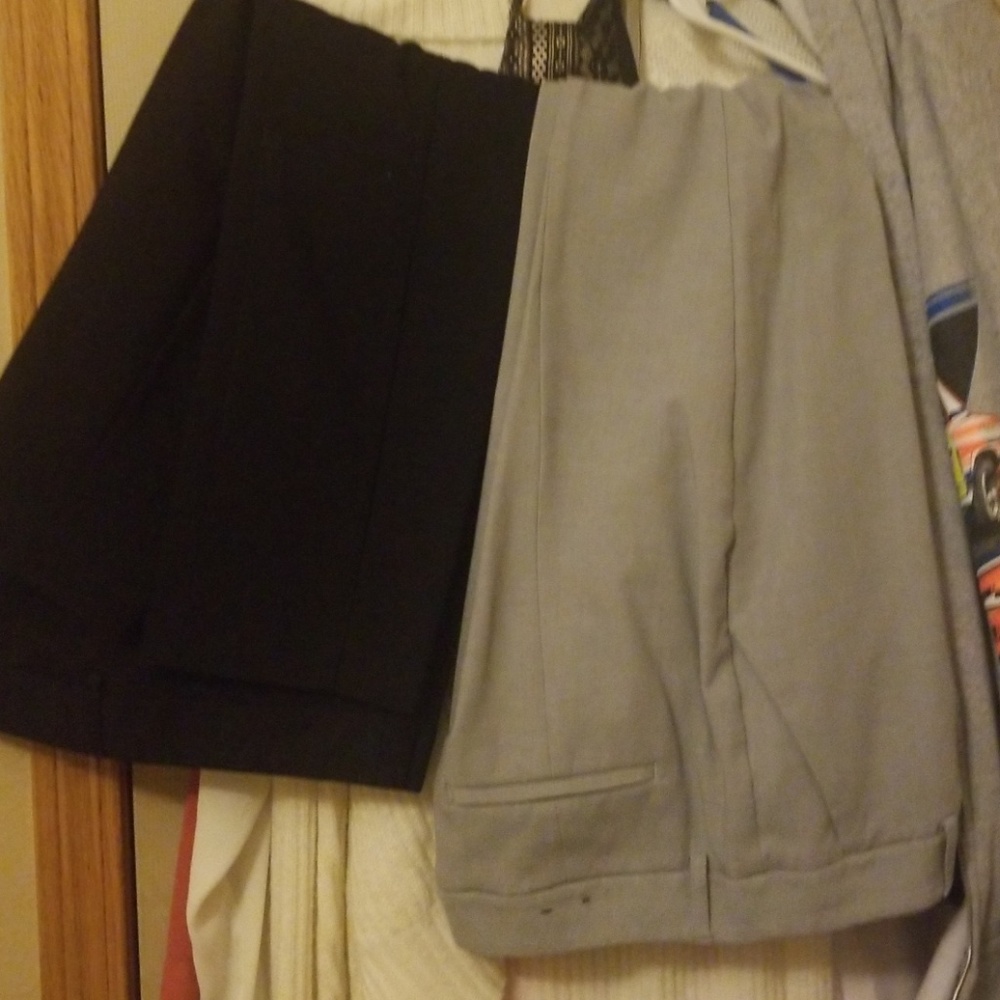 Dress pants